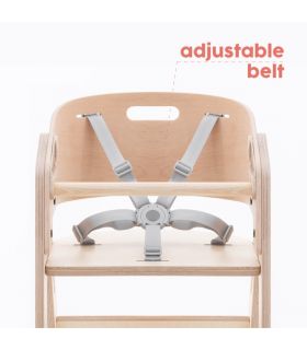 Chaise Haute My Chair All in One Mamatoyz - Menthe